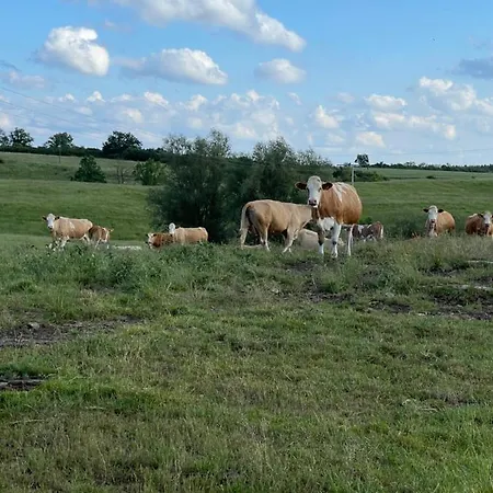 Radlerzimmer Mit Duschbad Und Minikueche In Neu Gaarz, Mitten In Der Appartement Neu Gaarz