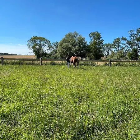 Radlerzimmer Mit Duschbad Und Minikueche In Neu Gaarz, Mitten In Der *