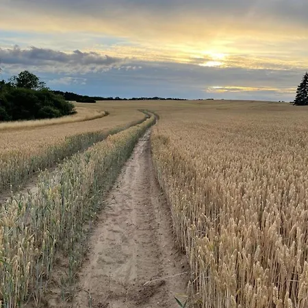 Radlerzimmer Mit Duschbad Und Minikueche In Neu Gaarz, Mitten In Der Neu Gaarz