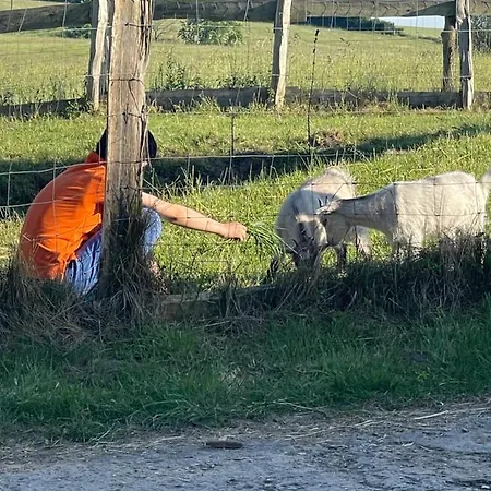 Radlerzimmer Mit Duschbad Und Minikueche In Neu Gaarz, Mitten In Der *
